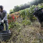 Lantgård Quinta De Marrocos *