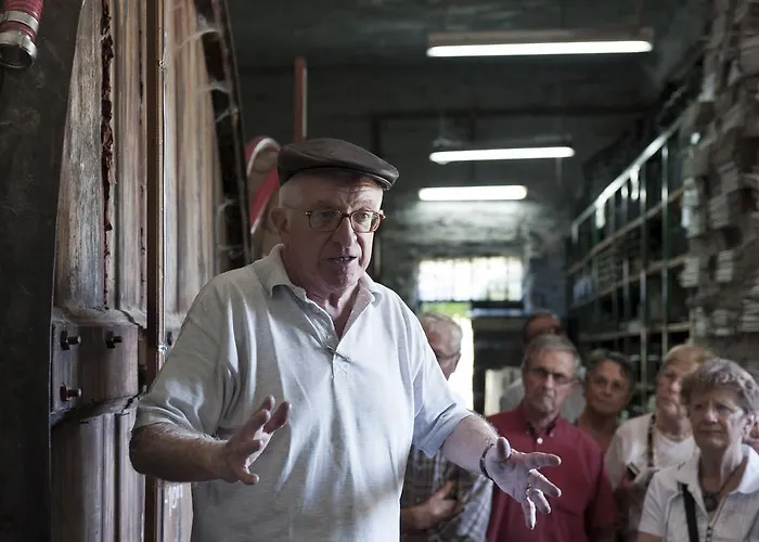 Quinta De Marrocos * Peso da Régua