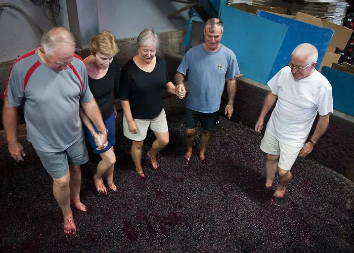 팜스테이 Quinta De Marrocos *